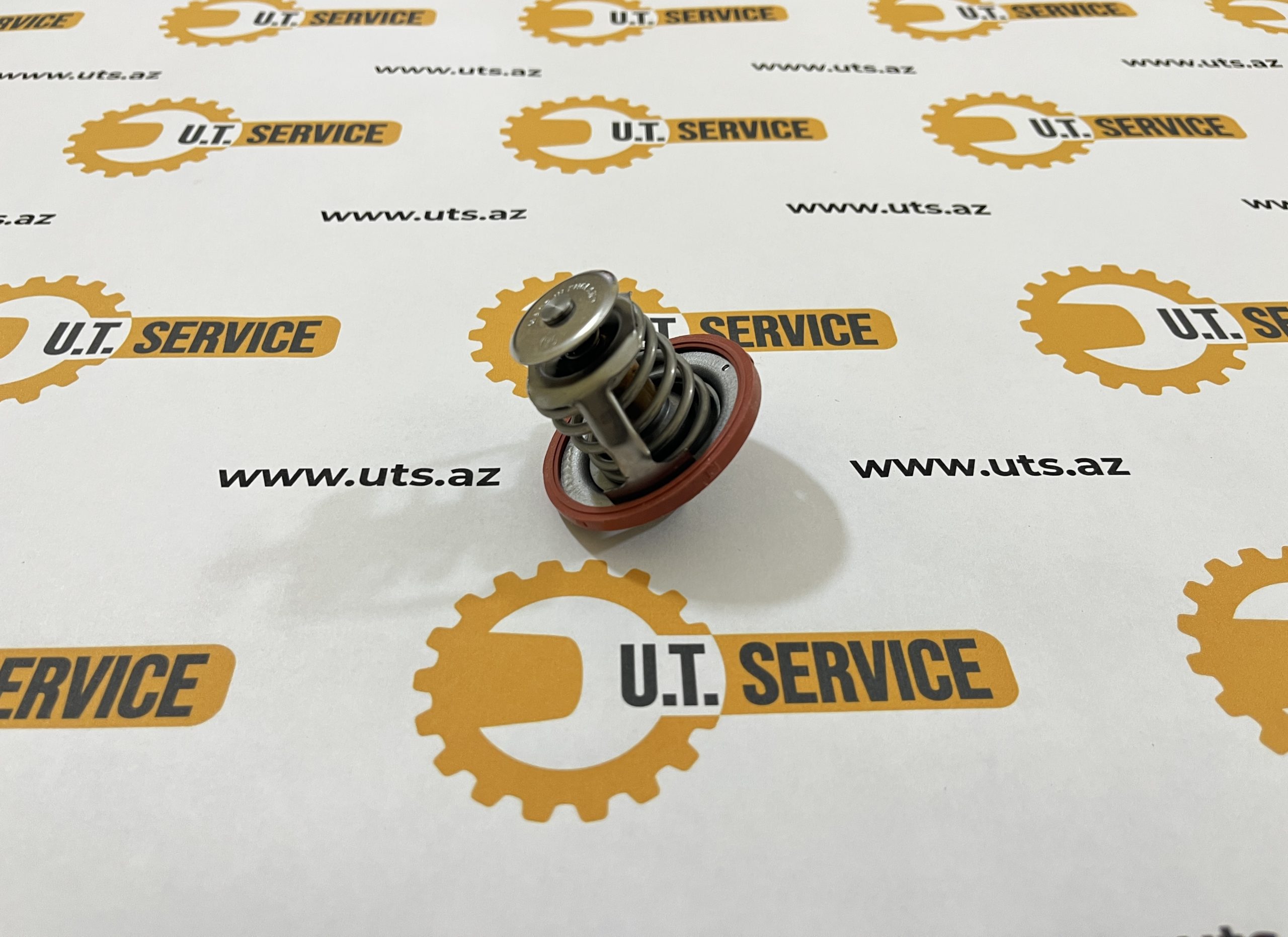 320/04907 Thermostat – Water Assy
