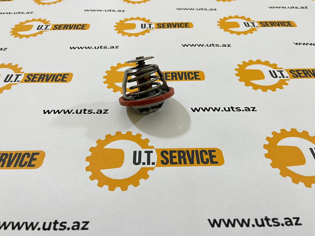 320/04907 Thermostat – Water Assy